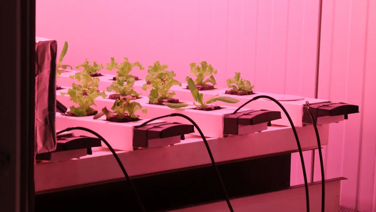 Pot luminile de creștere verticală să vă ajute cu adevărat plantele să crească mai bine?