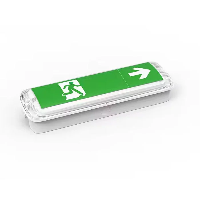 Perete de urgență LED industrial autonom